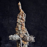 Acteur de l'ombre 4 - Sculpture visage dentelle métal acier bronze