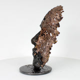 Cette sculpture représente un visage humain, créé avec une technique de dentelle de métal unique.