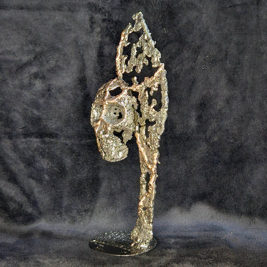 Flamme vanité 90-23 - Sculpture crane acier bronze sur flamme en dentelle métal