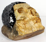 Fouque Wittig - Sculpture vanité gouttes acier et bois - Buil