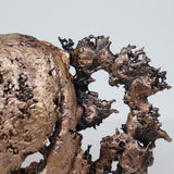 Buffon Martre - sculpture martre en gouttes de Bronze et d'Acier - Buil