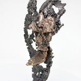 Flamme Rhinoceros 34-22 - Sculpture animal métal - tête rhinoceros sur flamme dentelle métal