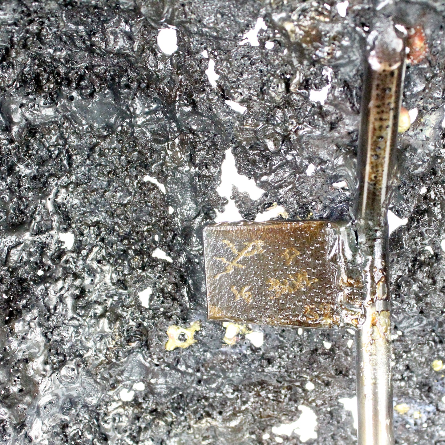 Œuvre buste femme métal Belisama Lutchia - signature au dos