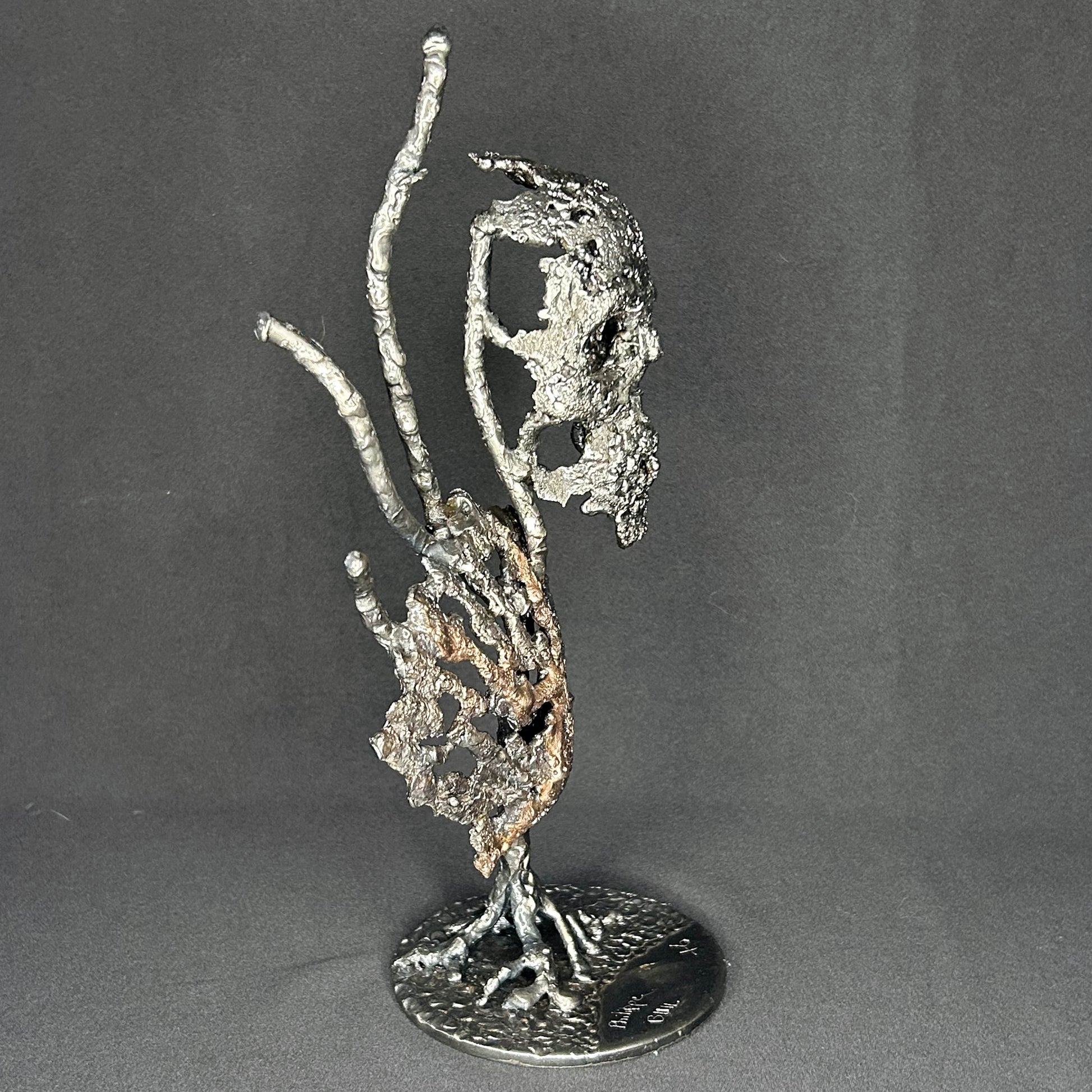 Sculpture en dentelle de métal représentant une tête de mort associée à une coquille Saint-Jacques, réalisée en acier et bronze par Philippe Buil.