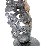 Cette sculpture représente un visage humain, créé avec une technique de dentelle de métal unique.