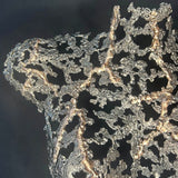 Buste féminin à taille réelle en dentelle de métal, sculpture en acier et bronze de Philippe Buil, forme ajourée organique, série Belisama.