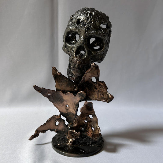 46-25-Crane-Vanite-Sculpture-tete-de-mort-acier-bronze-Vanite-art-Skull-artwork-steel-metal-Buil1
