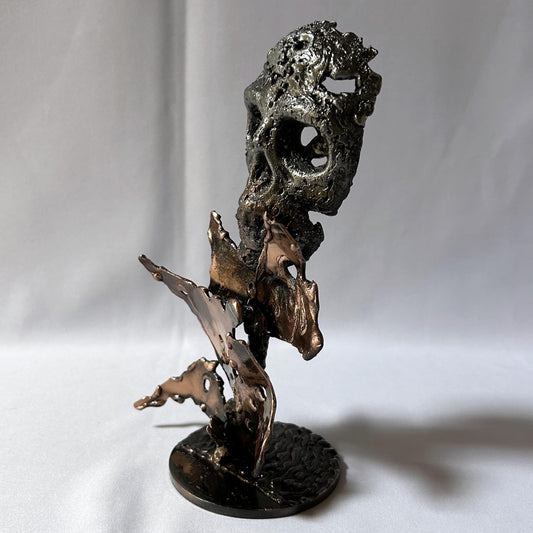 46-25-Crane-Vanite-Sculpture-tete-de-mort-acier-bronze-Vanite-art-Skull-artwork-steel-metal-Buil1