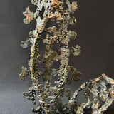 Cette sculpture abstraite de Philippe Buil évoque la légèreté d'une dentelle figée dans le métal.