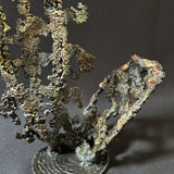 Cette sculpture abstraite de Philippe Buil évoque la légèreté d'une dentelle figée dans le métal.