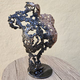 Pavarti Iris - Sculpture bustier femme dentelle metal acier bronze