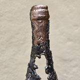 Bouteille de vin 64-23 - Sculpture dentelle métal acier et bronze