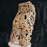 Kouros ô séant - Sculpture Fessier en dentelle de bronze