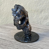 Crane 74-23 - Sculpture tete de mort métal dentelle acier et bronze