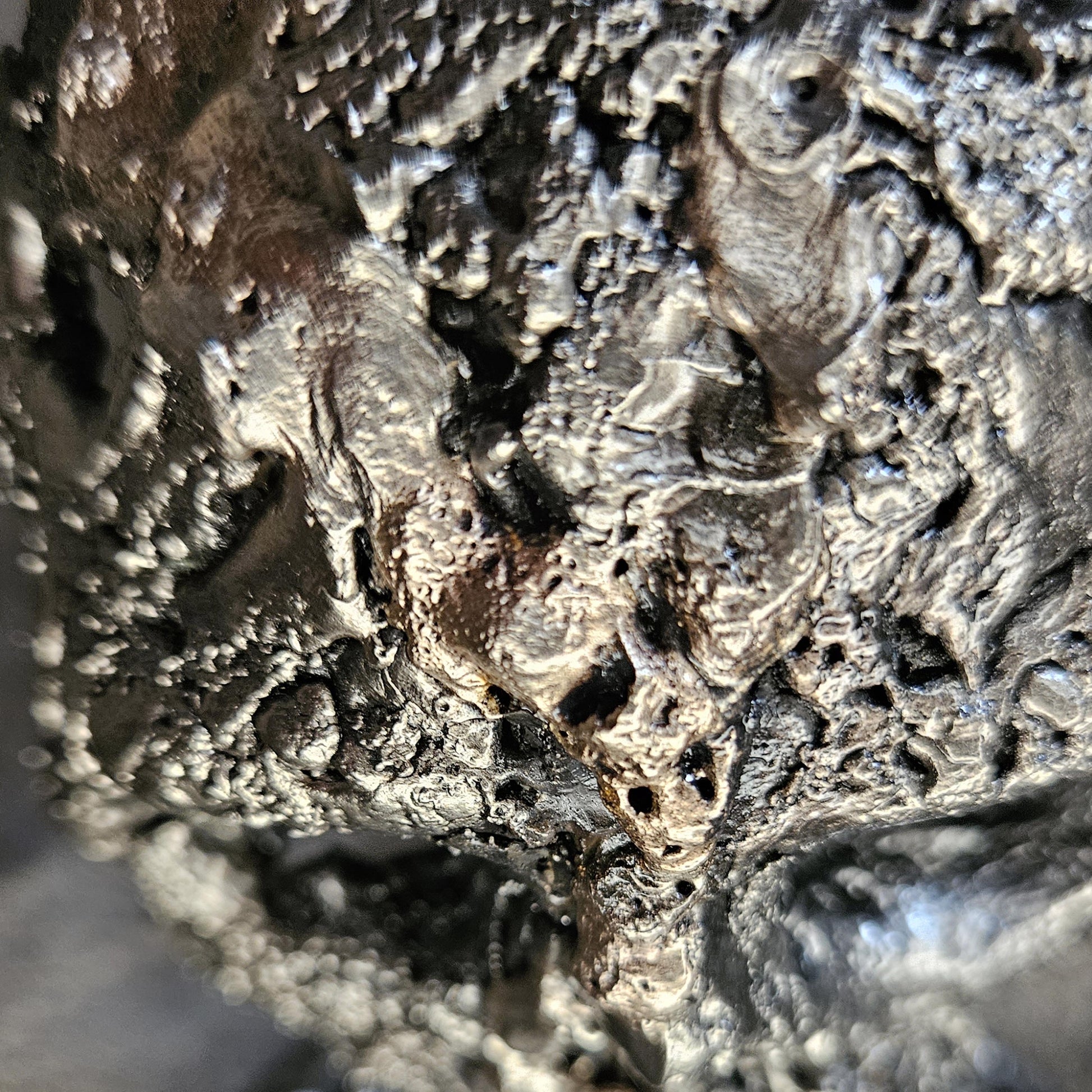 Crane 82-23 - Sculpture tete de mort métal dentelle acier et bronze