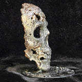 Crane 84-23 - Sculpture vanité - tete de mort dentelle métal acier et bronze