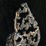 Flamme vanité 90-23 - Sculpture crane acier bronze sur flamme en dentelle métal