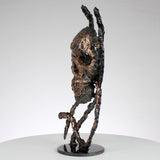 Vanité de l'alpha à l'oméga - sculpture crane metal acier bronze