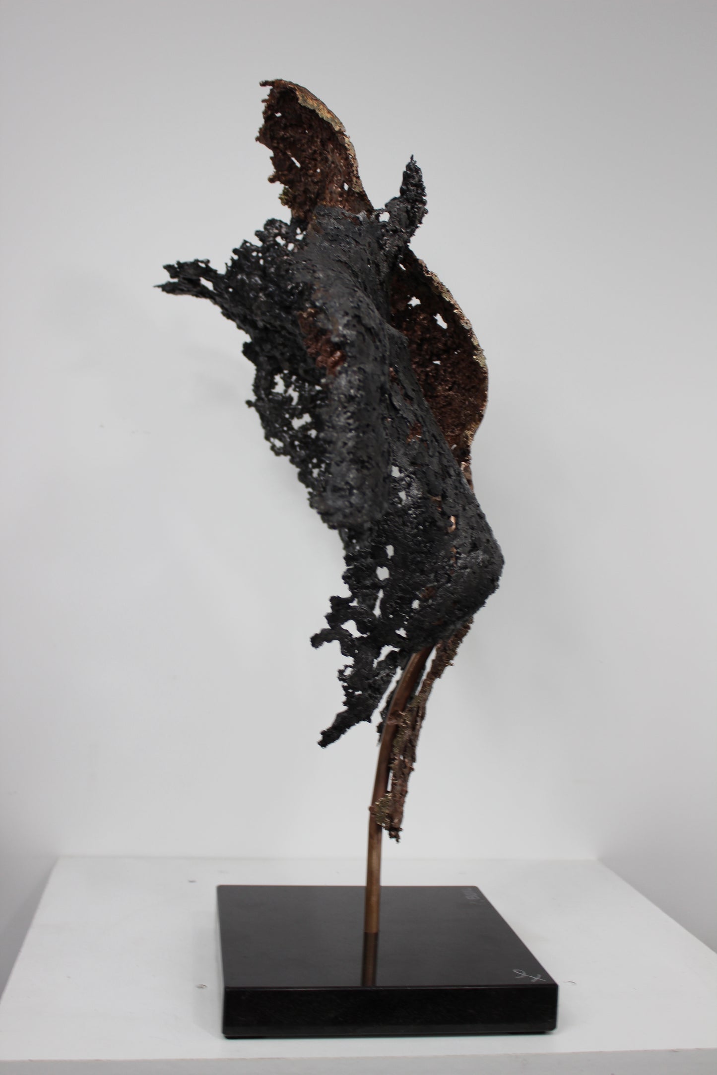 Connect the first - Sculpture en dentelle de Bronze et d'acier - Buil