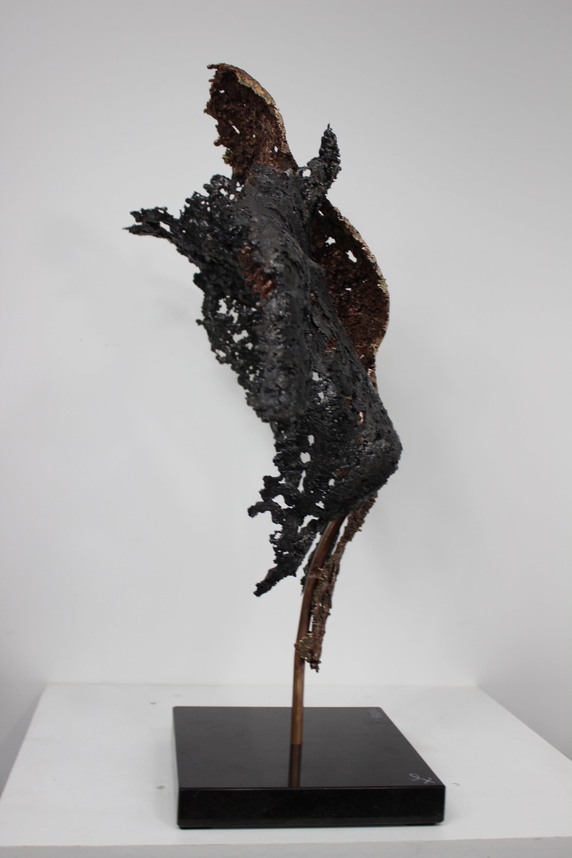 Connect the first - Sculpture en dentelle de Bronze et d'acier - Buil