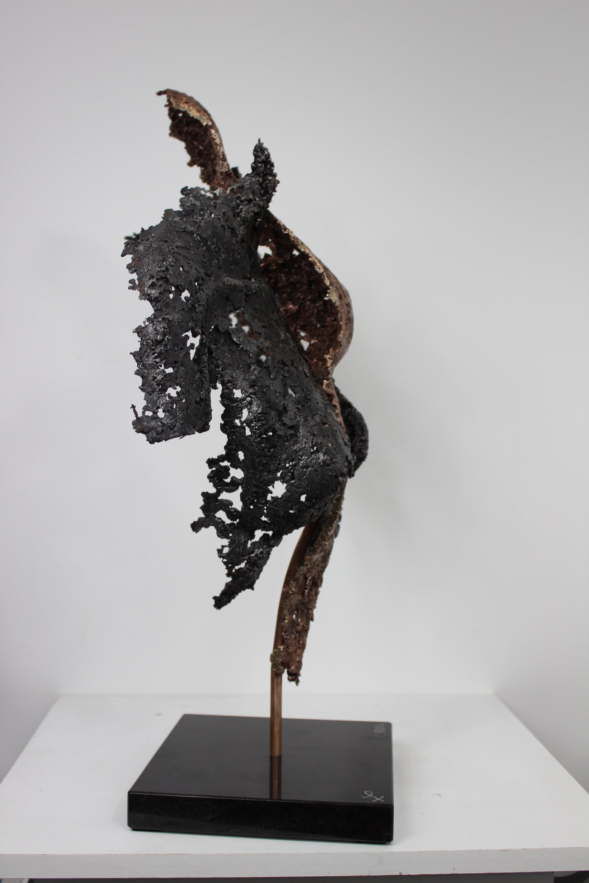 Connect the first - Sculpture en dentelle de Bronze et d'acier - Buil