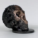 Crane 36-23 - Sculpture tete de mort metal dentelle acier et bronze