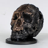 Crane 36-23 - Sculpture tete de mort metal dentelle acier et bronze