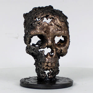 Crane 37-23 - Sculpture tete de mort métal dentelle acier et bronze