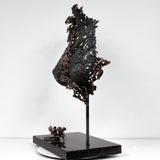 Belisama Vanda - Sculpture Buste femme dentelle acier et Bronze - Buil