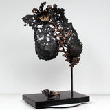 Belisama Vanda - Sculpture Buste femme dentelle acier et Bronze - Buil