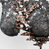 Belisama Vanda - Sculpture Buste femme dentelle acier et Bronze - Buil