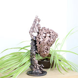 Montagne Yogi 89-22 - Sculpture dos en bronze sur dentelle acier et bronze