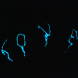 Cranes love - Sculpture cranes metal - Tete de mort Acier éciture Love en pigments fluorescents