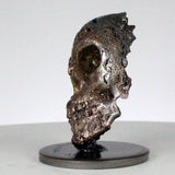 Vanité 93-21 - Sculpture crane metal - Tete de mort Acier et bronze - Buil