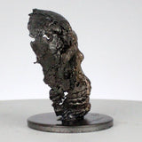 Vanité 93-21 - Sculpture crane metal - Tete de mort Acier et bronze - Buil