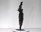 Acteur de l'ombre 3 - Sculpture visage dentelle métal acier bronze - Buil